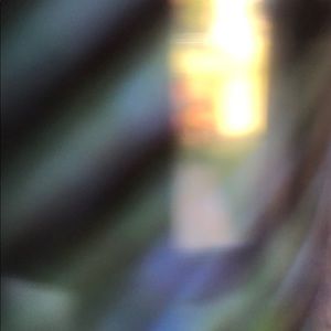 Meet your Posher, Carla